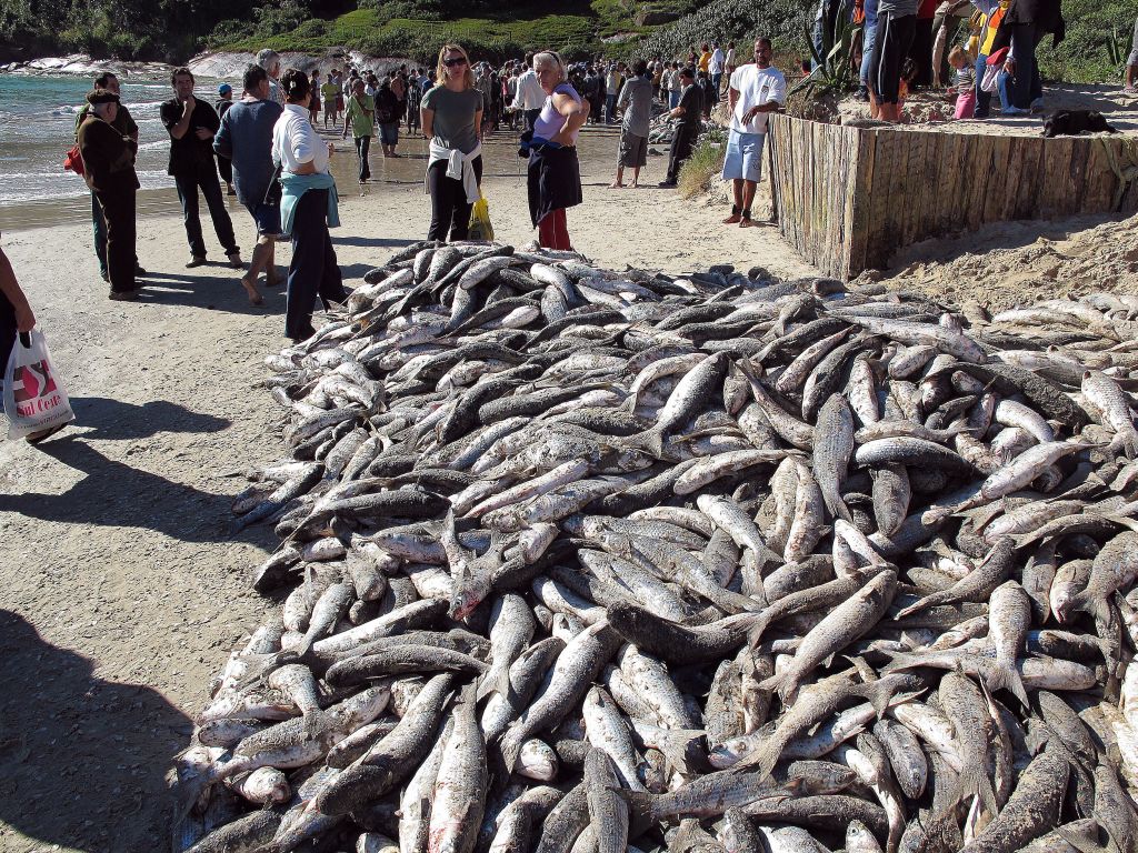 | Washington Fidélis/Folhapress