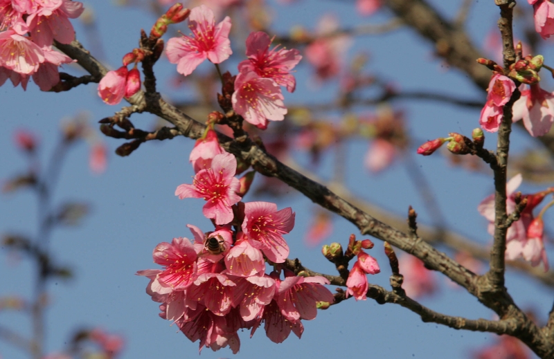| Pedro Serápio/Gazeta do Povo