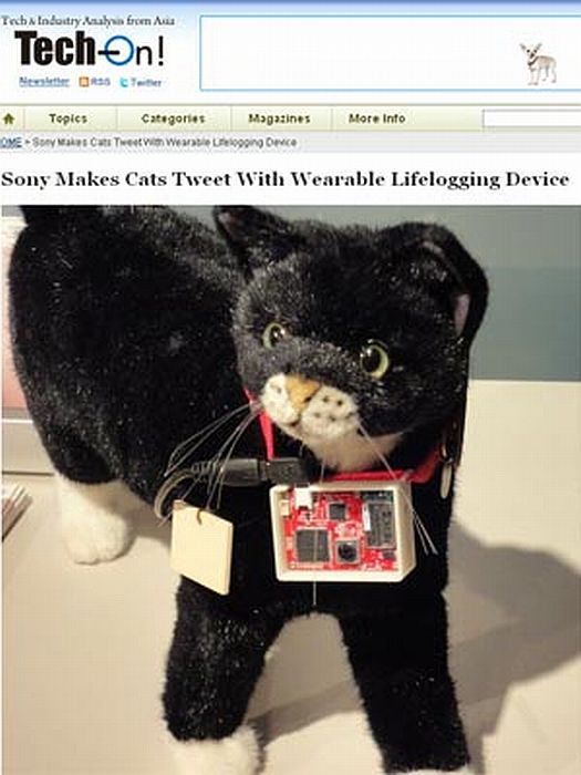 Protótipo é apresentado em gato de pelúcia | Reprodução