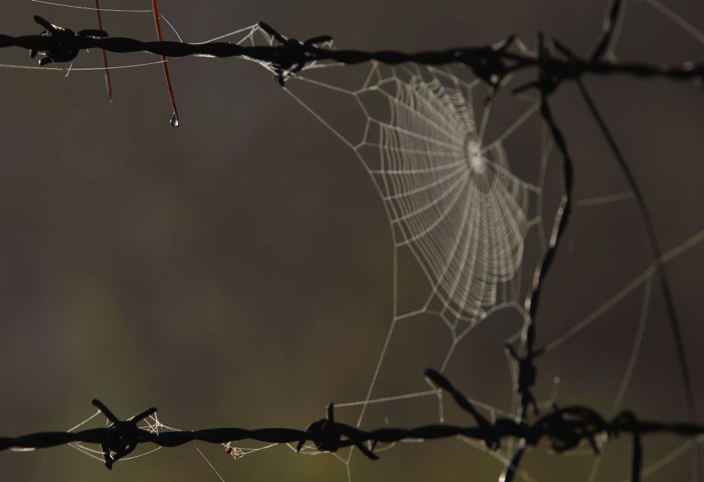 | Jonathan Campos/GP