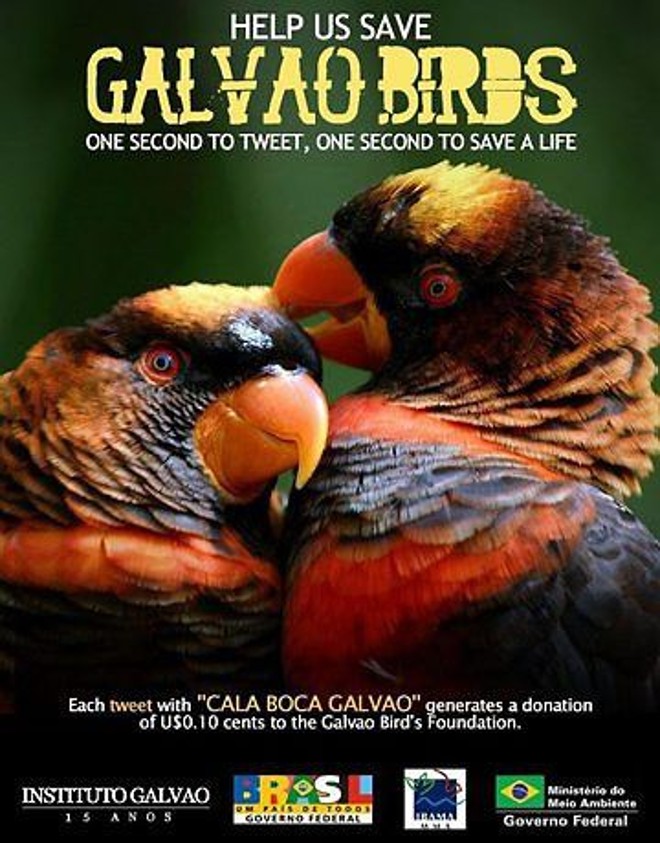 Cartaz da campanha: dez centavos por tweet para a 
