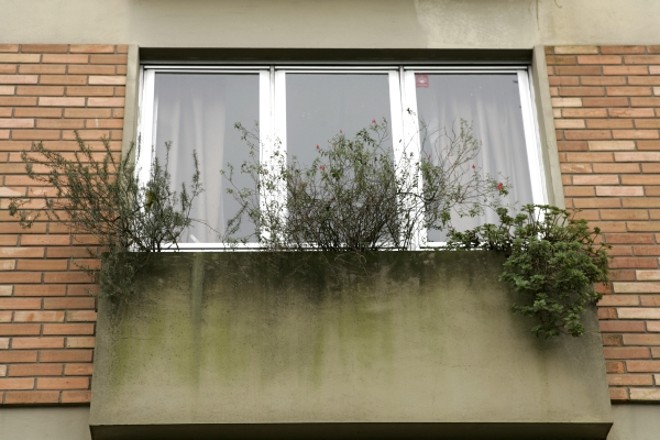 Floreira na janela requer sistema para dissipar a água e evitar manchas |