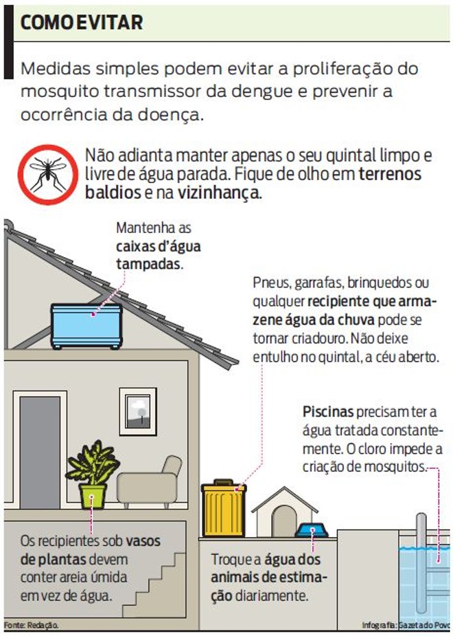 Veja como prevenir a proliferação do mosquito da dengue |