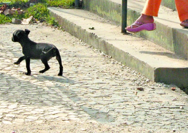 Joseane da Luz: movimento e ludicidade |