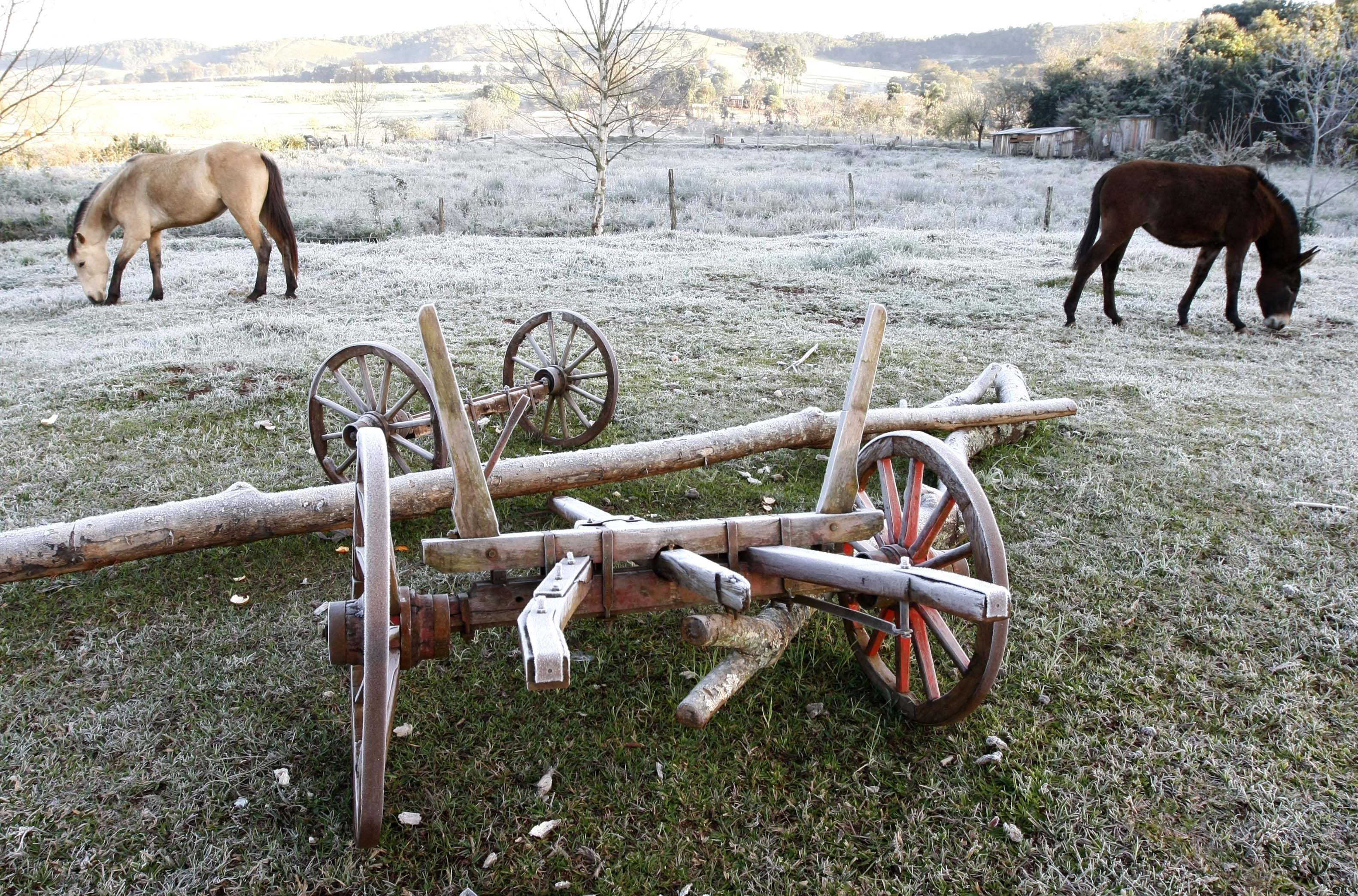 Paraná enfrenta mais uma madrugada gelada, um dia depois de ter registrado a temperatura mais baixa do ano no Brasil. Em Coronel Vivida, na quarta-feira, a geada cobriu os campos | Daniel Castellano/Agência de Notícias Gazeta do Povo