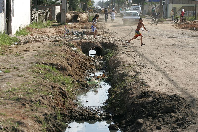 Falta de controle dos dejetos: saúde da população em risco | Rodolfo Bührer/Arquivo Agência de Notícias Gazeta do Povo