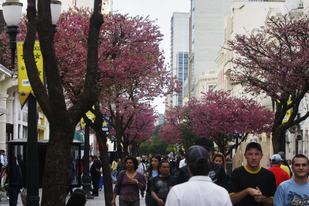 | Daniel Castellano / Gazeta do Povo