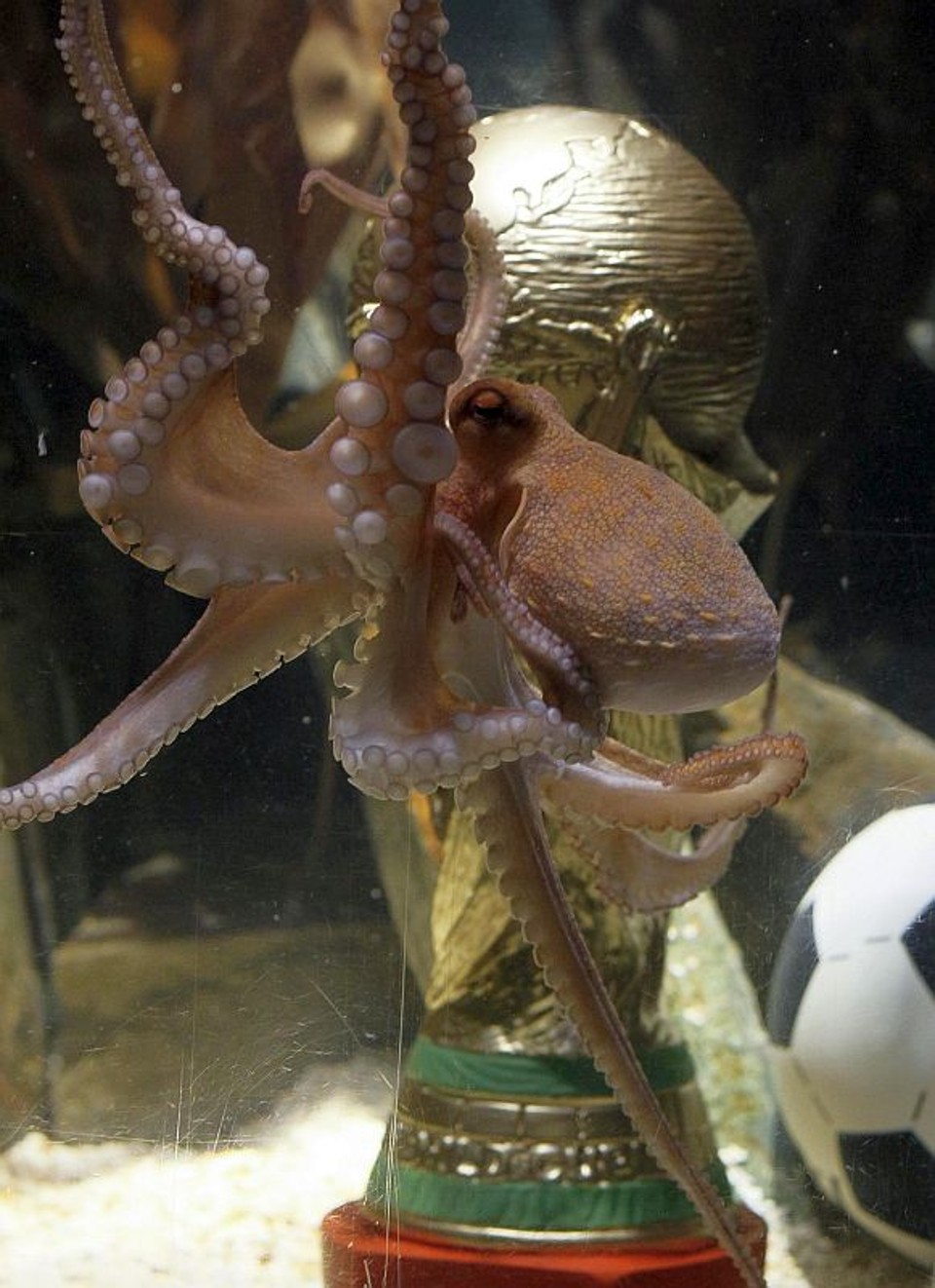  | Wolfgang Rattay / Reuters