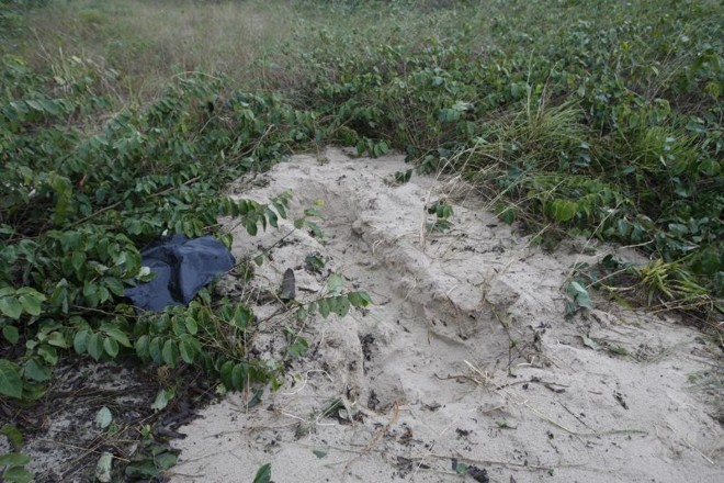 Local onde o corpo da professora universitária foi encontrado é isolado e de difícil acesso | 