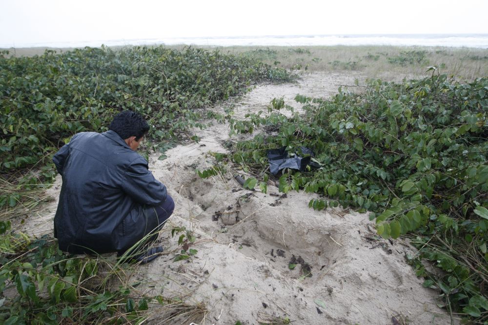 Pescador mostra local onde a professora Telma Fontoura foi achada, na praia de Shangri-lá: corpo estava enterrado em uma cova com 10 centímetros de profundidade | Marcelo Elias / Gazeta do Povo