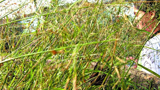 Fabiana Tamires Pinheiro: sobreposição de planos |