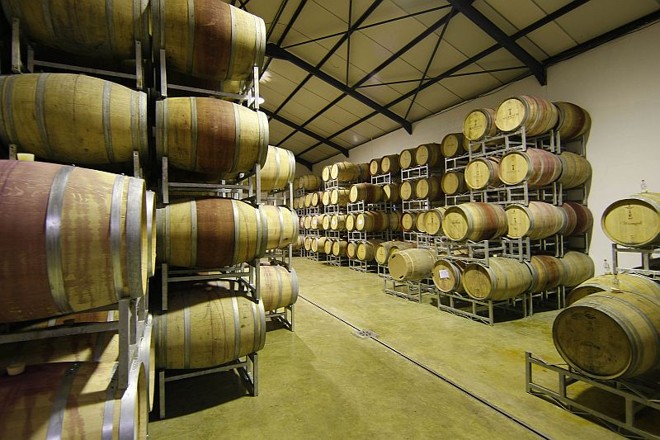 Exportação de vinho da África do Sul chega a R$ 7 bi por ano, mas apenas R$ 200 mi são comercializados para o Brasil | 