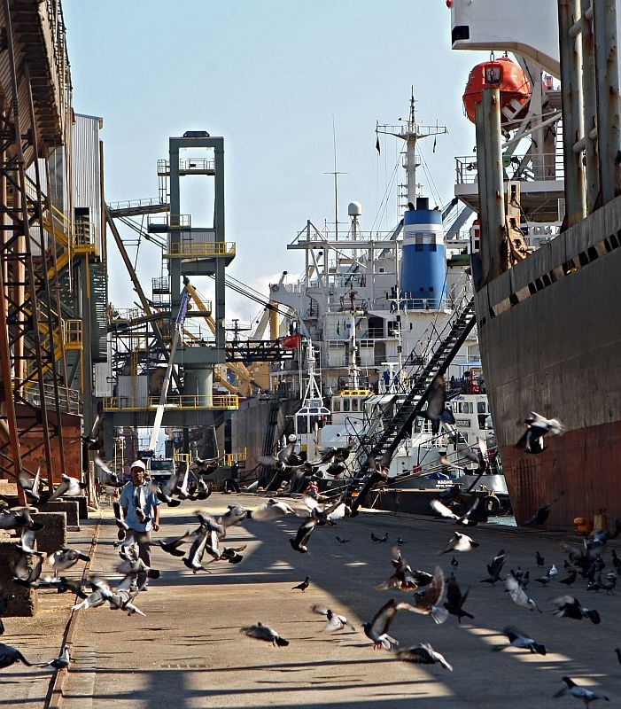 Porto de Paranaguá: embarque e desembarque no terminal ficaram suspensos por quase 10 horas entre quinta e sexta-feira | Albari Rosa/ Gazeta do Povo