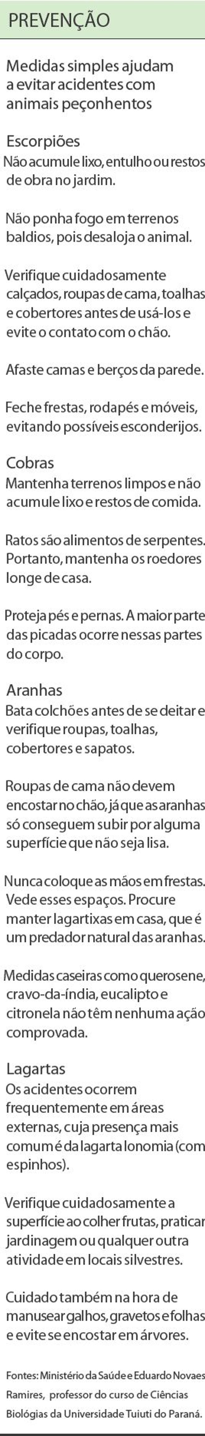 Veja que medidas simples ajudam a evitar acidentes com animais peçonhentos | 