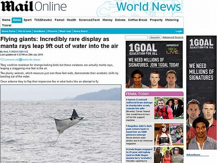 Arraia dando salto acrobático na costa da Costa Rica | Reprodução/Daily Mail