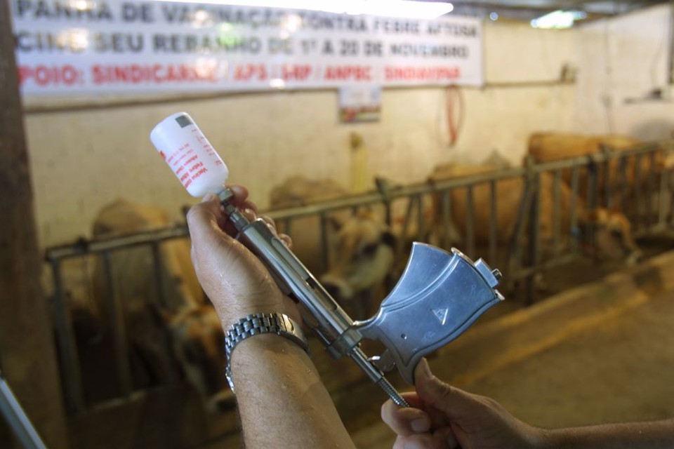 Nova campanha de vacinação contra febre aftosa será realizada em novembro no Paraná | Antônio Costa / Arquivo Agência de Notícias Gazeta do Povo