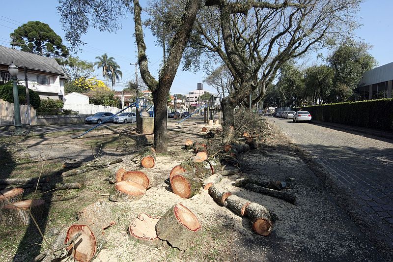 Corte de árvores chocou alguns moradores do Jardim Ambiental: mal necessário | Hedeson Alves/Gazeta do Povo
