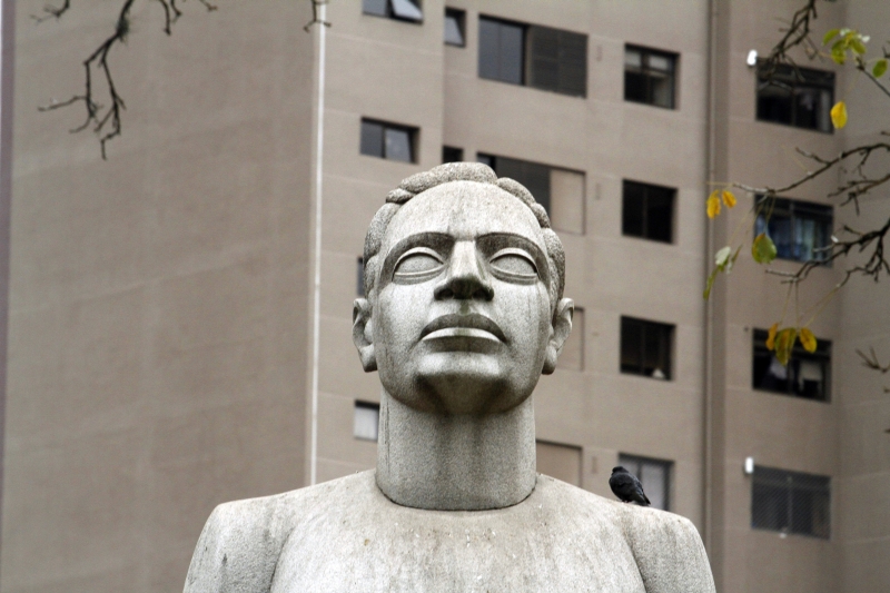 | Daniel Derevecki/Gazeta do Povo