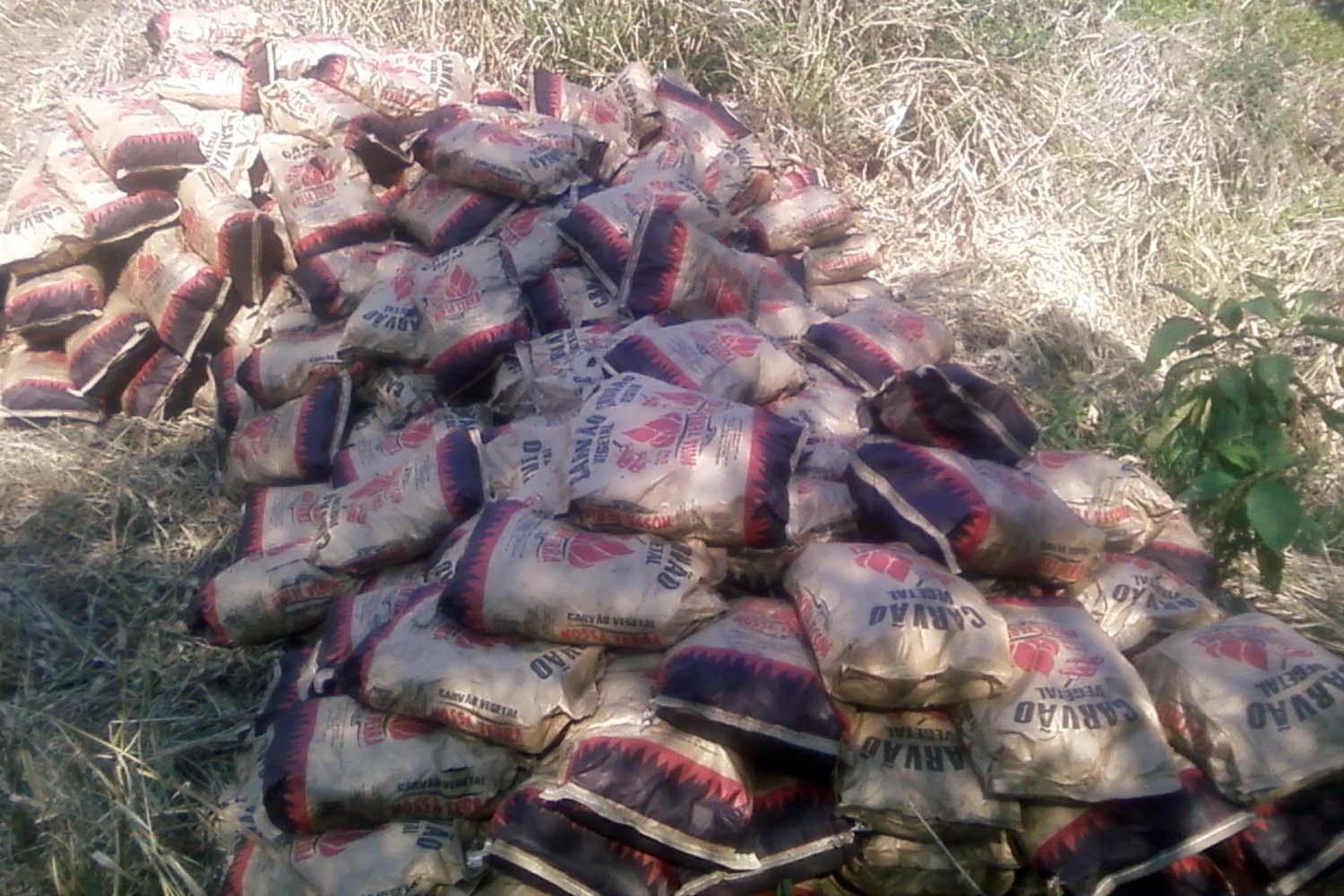 Carga de carvão vegetal foi encontrada em Capanema | Sesp