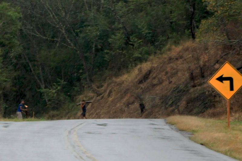 Índios colocavam troncos de árvore na BR-473 quando reportagem chegou | Cesar Machado Vale Press