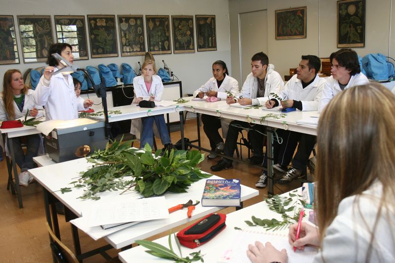 Alunos da UEPG na aula de Botânica: universidade deve ganhar 134 novos professores | Henry Milléo/Gazeta do Povo