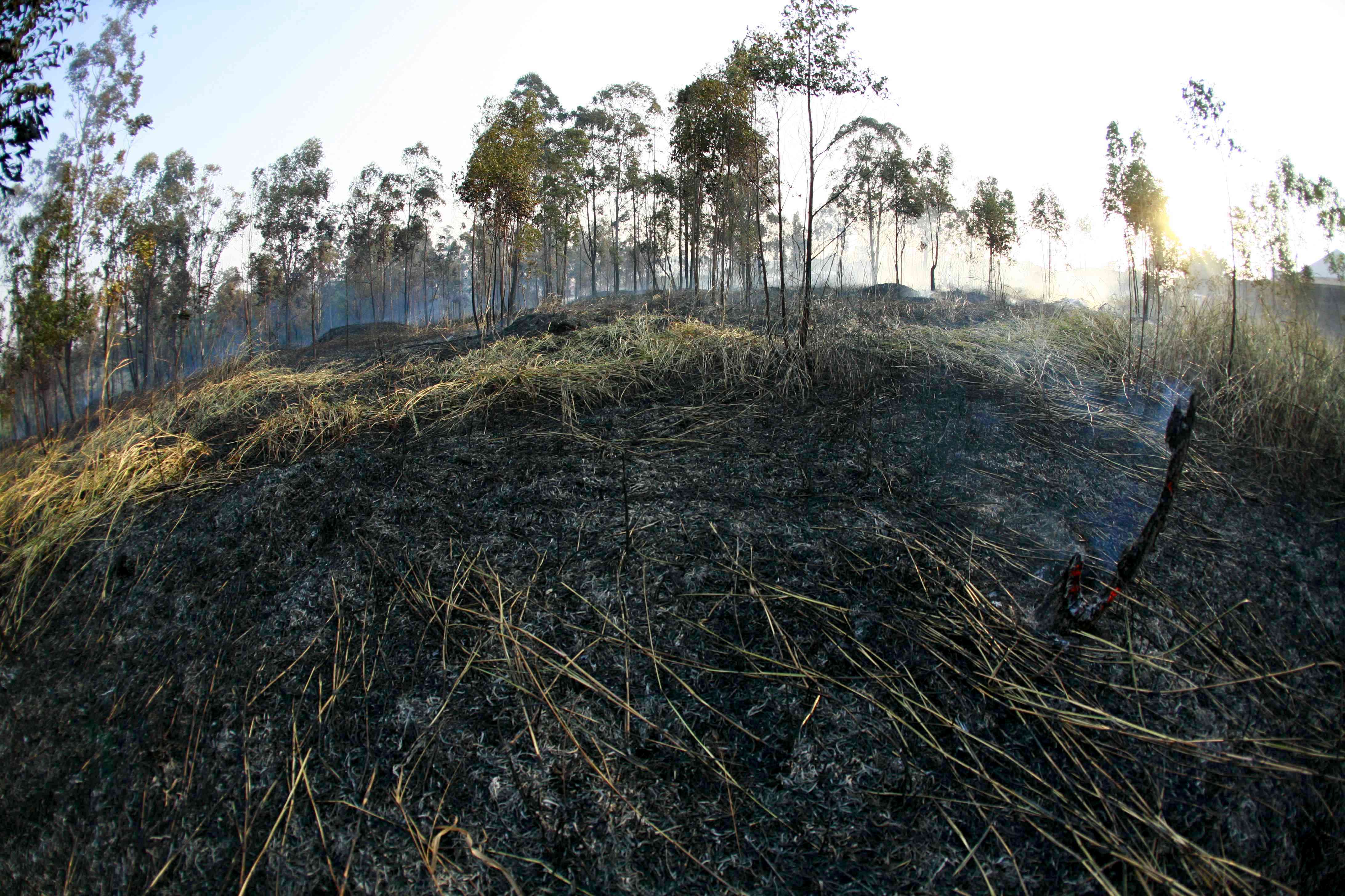 Os bombeiros ainda não apontaram a causa do incêndio na área. Quatro veículos do grupo foram utilizados no combate contra as chamas. | Ivan Amorim