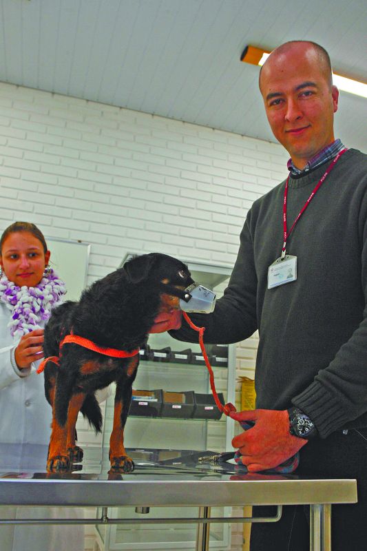 Paulo Renato Parreira é professor universitário e trabalha com animais de companhia | Priscila Forone/Gazeta do Povo