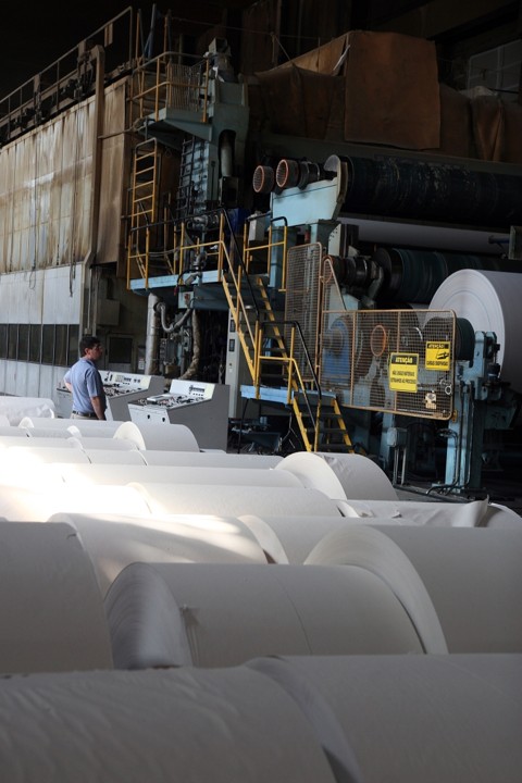 Luz verde para os investimentos Fábrica da Norske Skog em Jaguaraíva: compensação viabiliza ampliação | Henry Milléo/ Gazeta do Povo