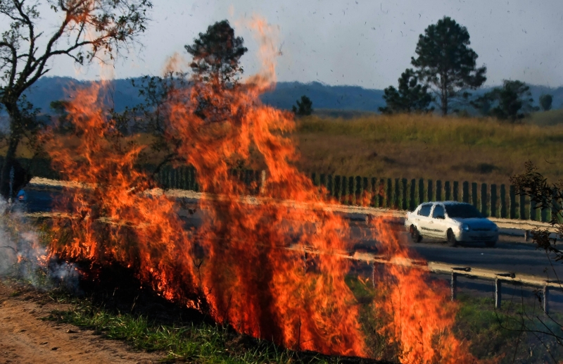 Incêndio na margem da Rodovia Francisco Lerario, em Guararema, a 79 km da capital paulista | Marcelo Justo/Folhapress
