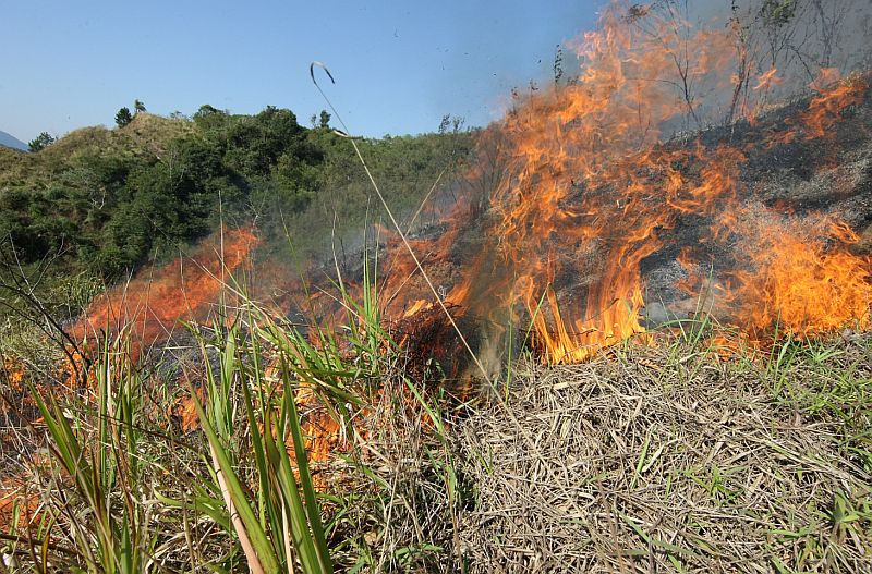 Incêndio às margens da Represa do Capivari, região metropolitana de Curitiba: 60 mil metros quadrados de área queimada | Valterci Santos/Gazeta do Povo