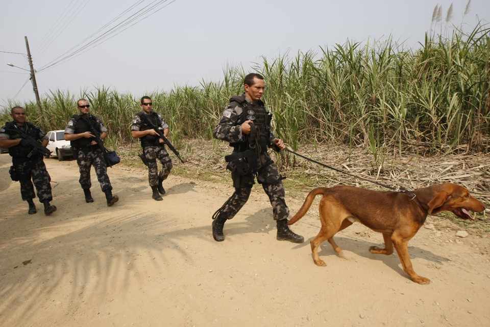 Aproximadamente 200 policiais estão em busca de um fugitivo suspeito de envolvimento na morte do delegado José Antônio Zuba | Marcelo Elias / Agência de Notícias Gazeta do Povo