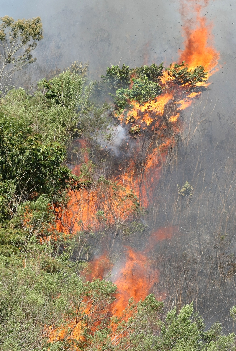 Fogo em Campina Grande do Sul: tempo seco contribui para as queimadas | Valterci Santos/Gazeta do Povo
