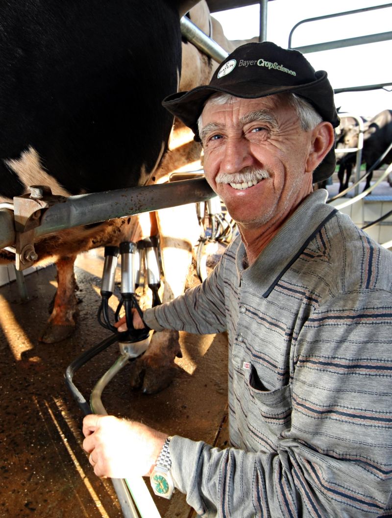 O gaúcho David Ambrósio, 65 anos, chegou há 40 anos em Chopinzinho para trabalhar na agricultura, mas acabou ganhando a vida com a produção de leite. Hoje são 208 mil litros por ano. | Albari Rosa/ Gazeta do Povo