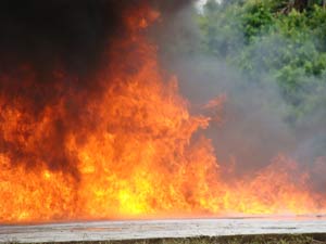 Rondônia é um dos estados mais afetados por queimadas | Divulgação/PRF-RO