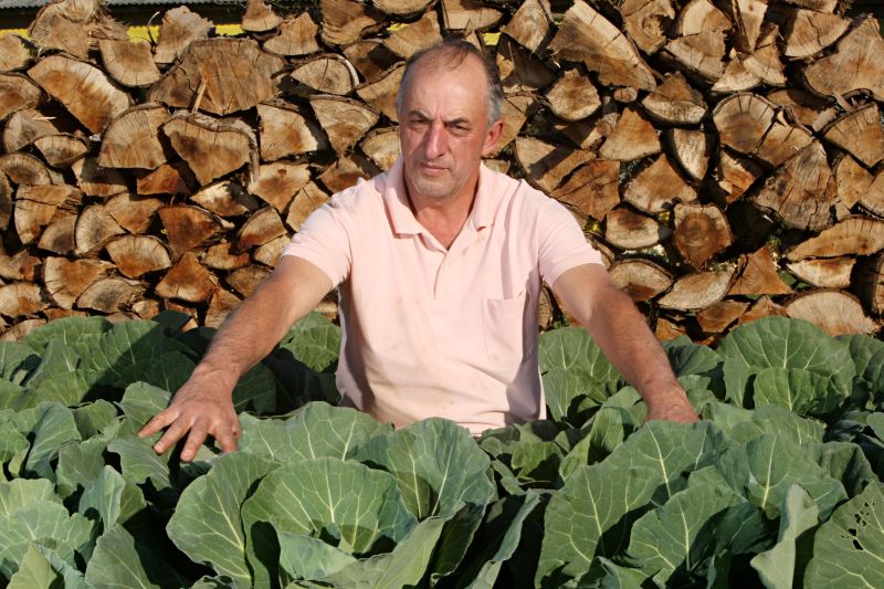 Samuel Heck cria frangos e passou a investir em uma horta para tentar aumentar a renda de sua propriedade, em Carambeí. Pequenos agricultores ainda enfrentam dificuldades na região dos Campos Gerais | Albari Rosa/ Gazeta do Povo