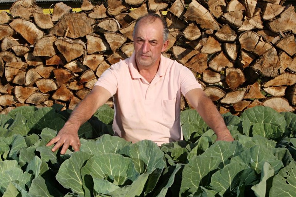 Samuel Heck cria frangos e passou a investir em uma horta para tentar aumentar a renda de sua propriedade, em Carambeí. Pequenos agricultores ainda enfrentam dificuldades na região dos Campos Gerais | Albari Rosa/ Gazeta do Povo