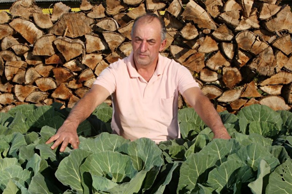 Samuel Heck cria frangos e passou a investir em uma horta para tentar aumentar a renda de sua propriedade, em Carambeí. Pequenos agricultores ainda enfrentam dificuldades na região dos Campos Gerais
