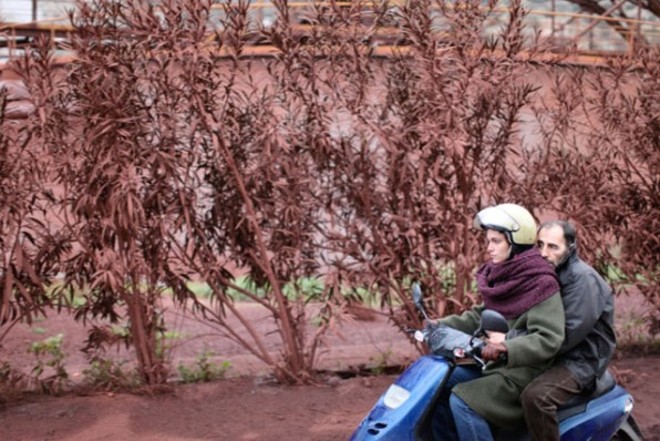O grego Attenberg: ritos de passagem na juventude em roupagem inovadora |