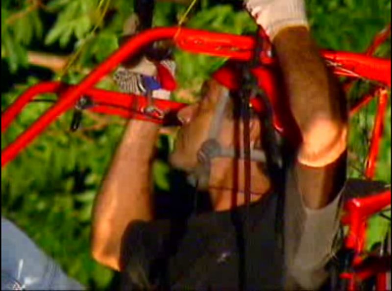 Reprodução de vídeo mostra piloto preso em árvore na região de Londrina | Reprodução / RPC TV