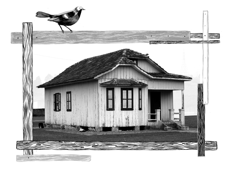 Arte: Felipe Lima | Foto: Hedeson Alves