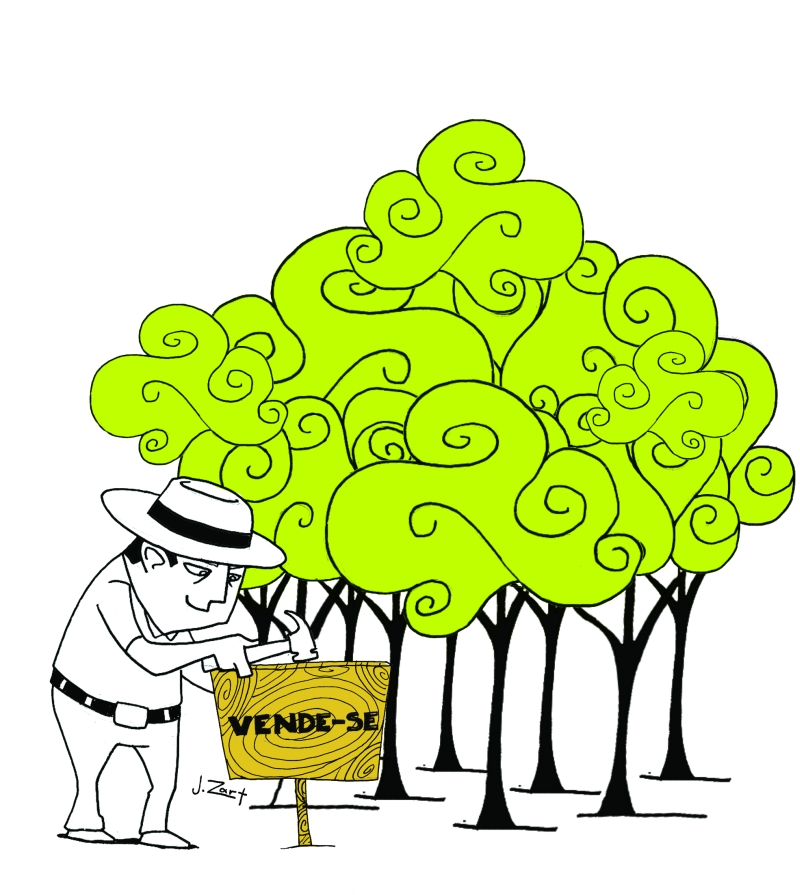 270 mil hectares de florestas foram identificados nas propriedades rurais do Paraná |