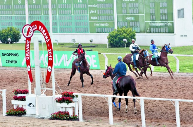 Cavalos treinam nas raias do Jockey Club às vésperas do Grande Prêmio Paraná, agora em versão 2.000 metros | Aniele Nascimento/ Gazeta do Povo