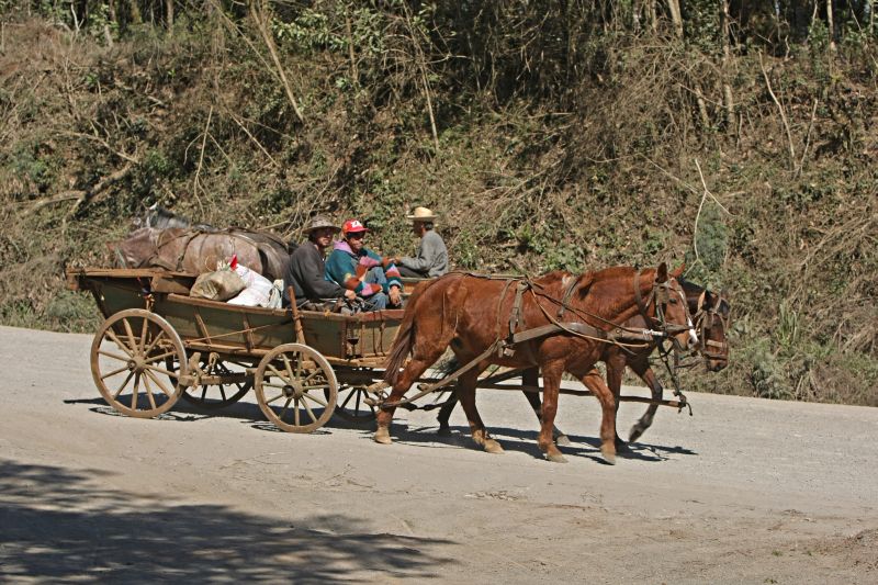 Antônio Alceu e José Ivo na PR-364: torcida para que a promessa feita há mais de 30 anos, de asfaltar o trecho de 47 km entre São Mateus do Sul e Irati, seja cumprida | Albari Rosa/ Gazeta do Povo