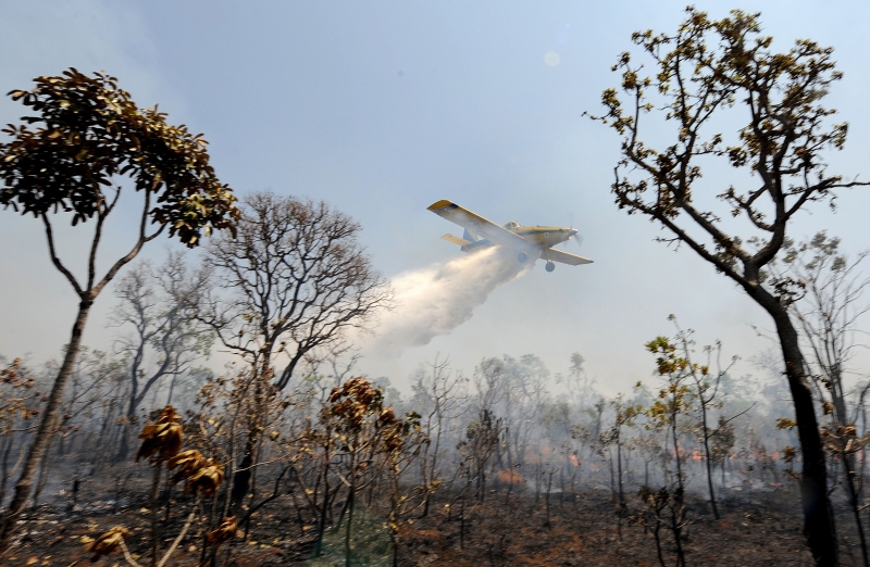 Avião despeja água no combate ao incêndio no Parque Nacional de Brasília: fogo consumiu 32% da área | Daniel Castelano / Gazeta do Povo