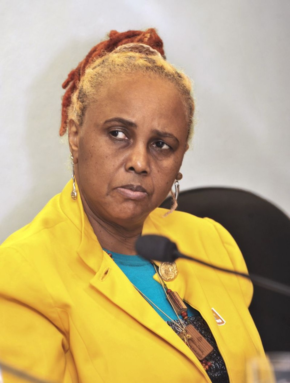 Sem saber, artistas são usados na campanha Sandra de Sá aparece na lista de apoio a Serra, mas disse que votará em Dilma | José Cruz / Agência Senado