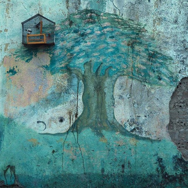 Fotografia de Orlando Azevedo | 