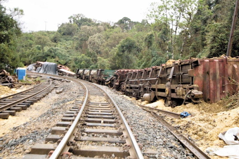 Milho e açúcar vazados dos vagões descarrilados teriam atingido o Rio Ipiranga | Lineu Filho