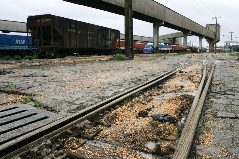 | Bianca Garmatter/Gazeta do Povo