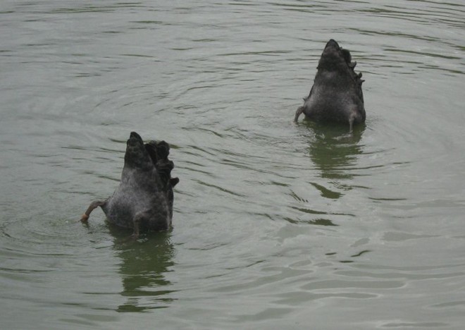 A ludicidade domina a imagem de Victor Nascimento |