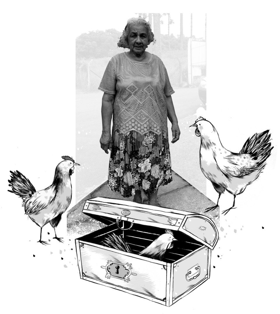 Foto: Hedeson Alves/ Gazeta do Povo. Arte: Felipe Lima | 